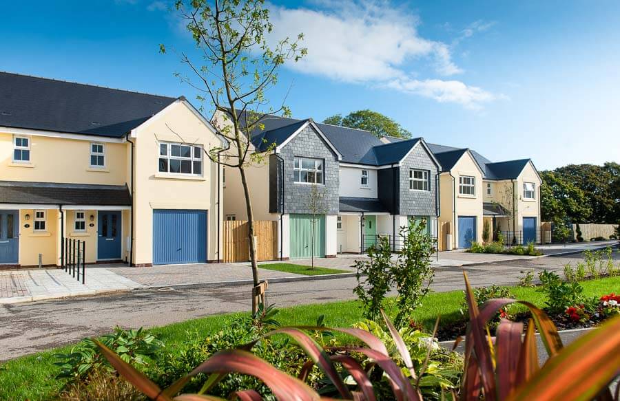 Cavanna_Whitehill_MoorlandVale_-10