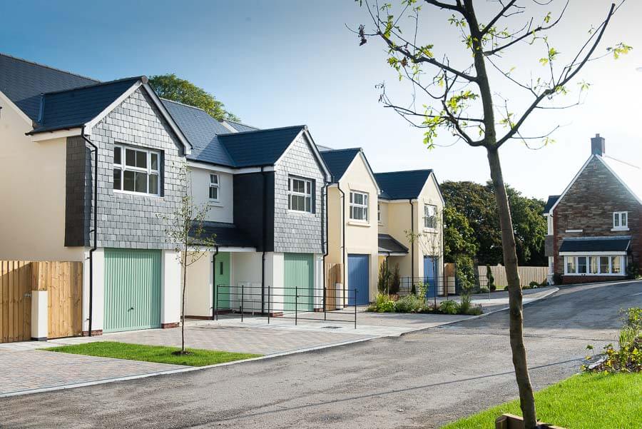 Cavanna_Whitehill_MoorlandVale_-6