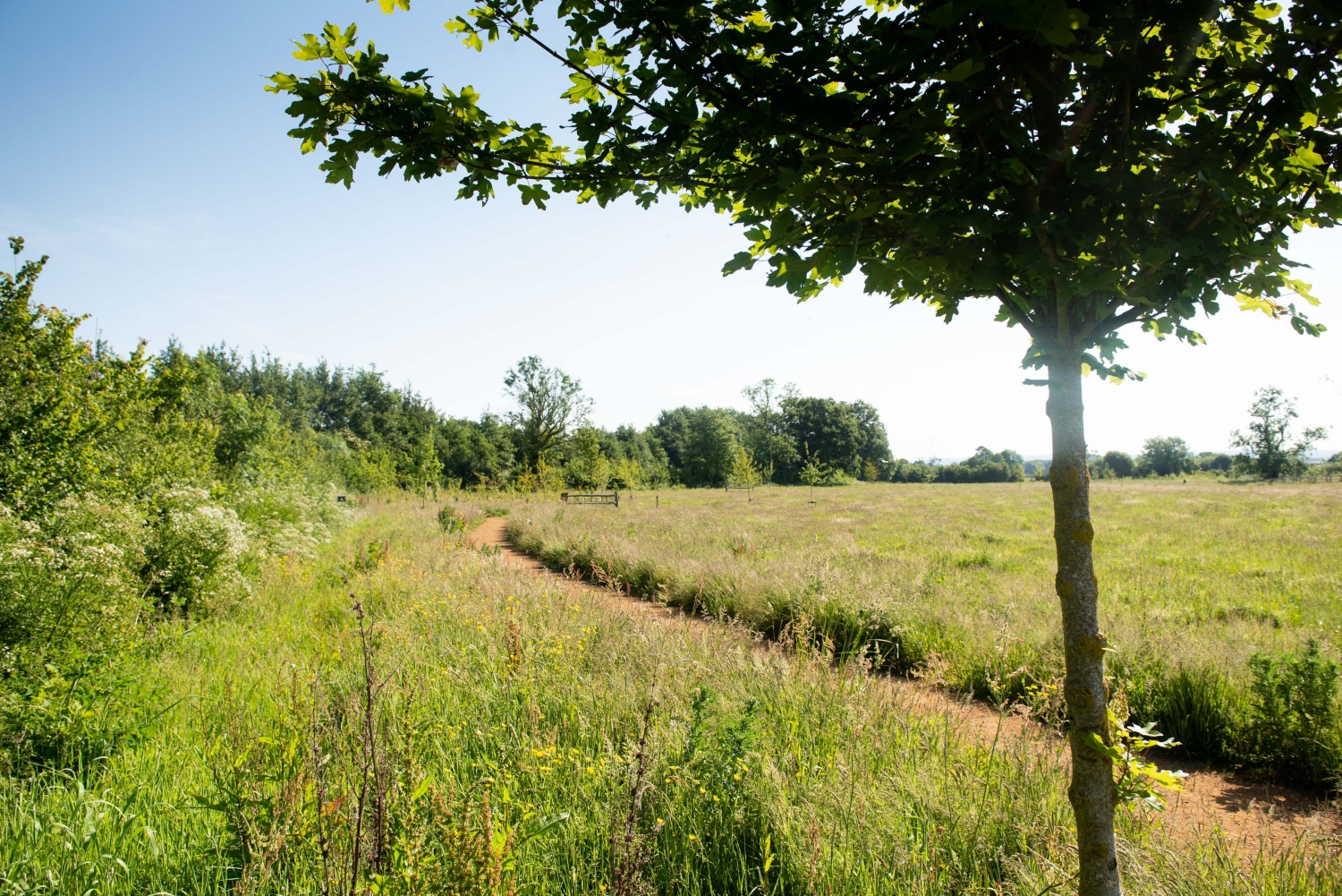 New Homes in Exeter, Devon New Builds for Sale Cavanna Homes