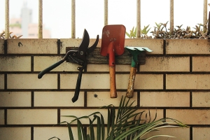 Garden tools on wall of greenhouse