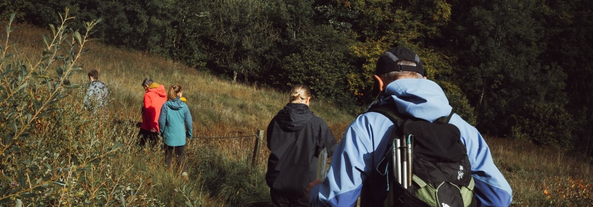 Friends on a walk