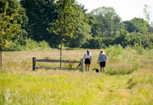 Country Park near Equinox, Exeter.