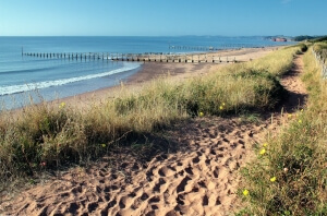 Dawlish Warren beach