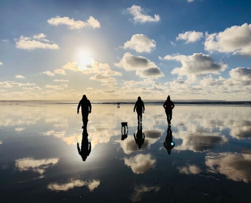 Dog walk on beach