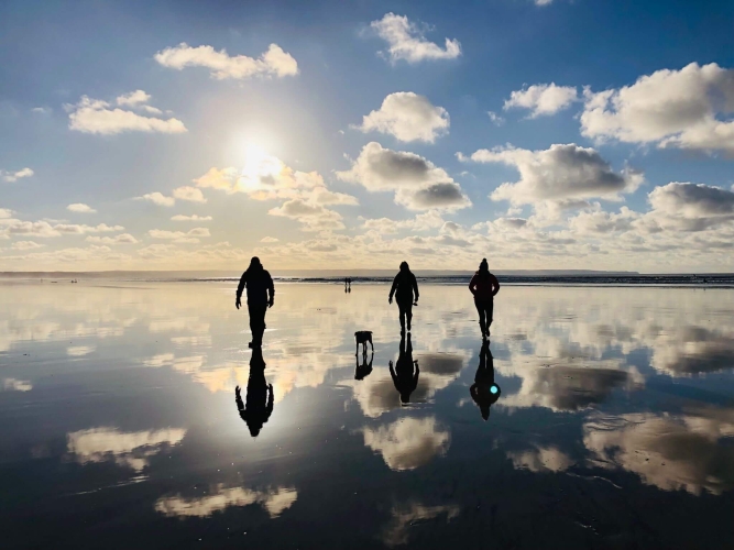 Dog walk on beach