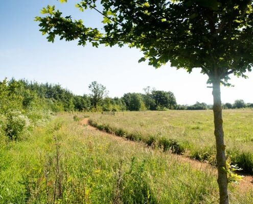 © Guy Newman / Rekord Media 02.06.2020. Country Park near Equinox, Exeter.
