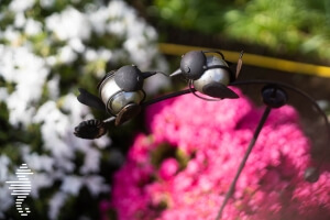 A picture showing colourful flowers and garden decoration