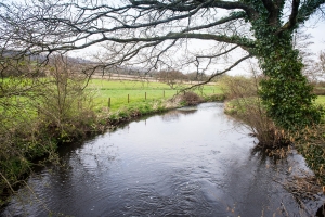 Surrounding area of Hemyock lake 