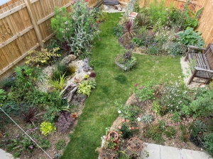 Jill's garden after her makeover 