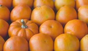 Pumpkins and satsumas