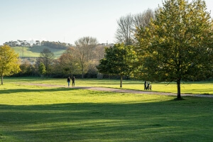 Green space near Exeter 