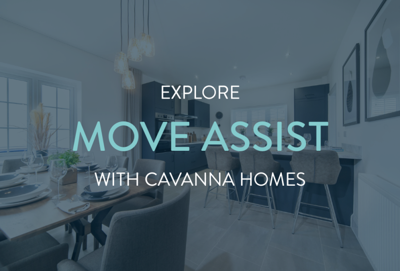 Move Assist Equinox III