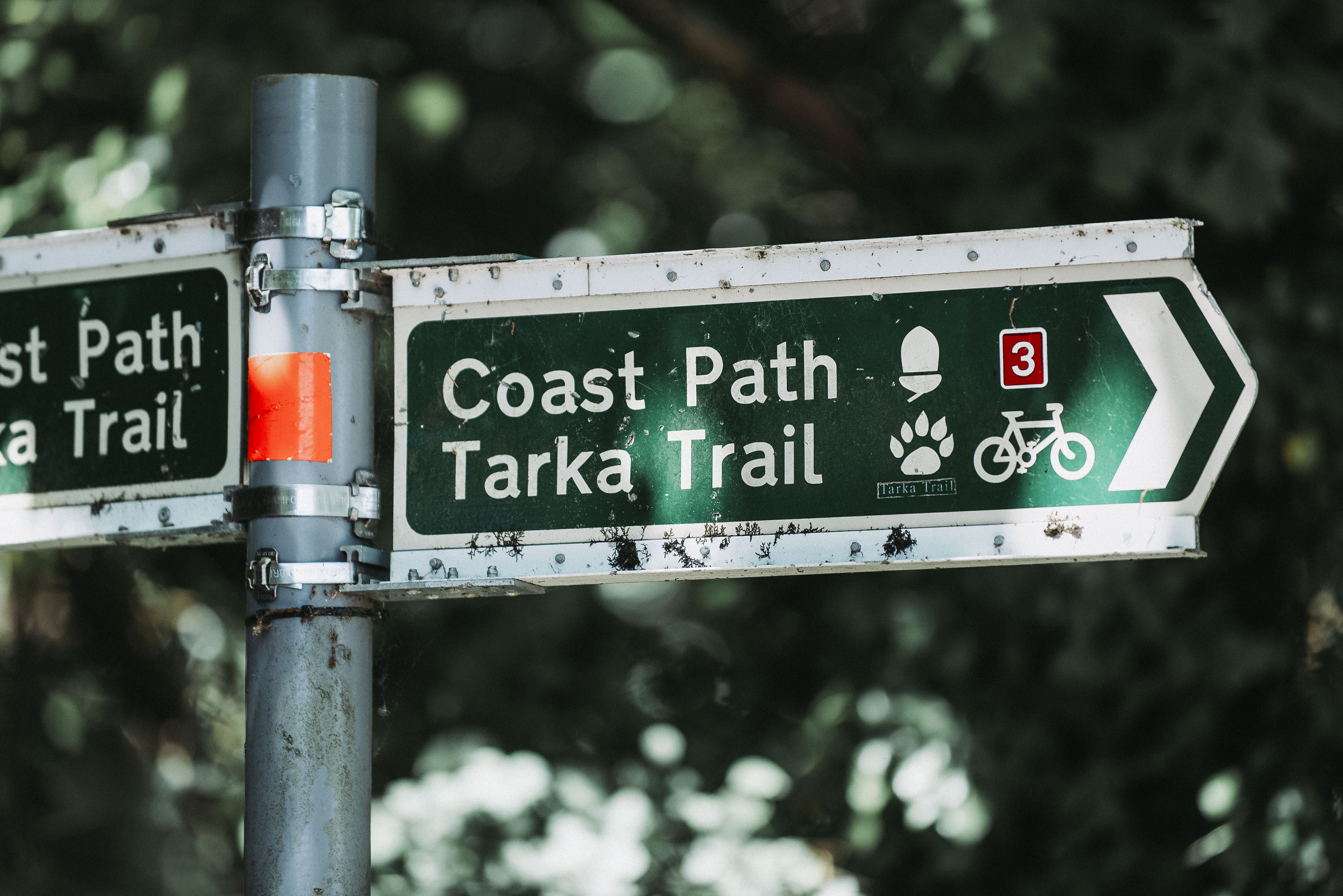 6-Bickington_Cavanna Homes